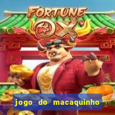 jogo do macaquinho que ganha dinheiro